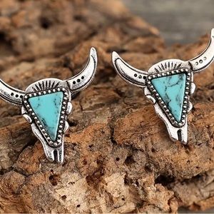 Super Cool Turquoise Earrings